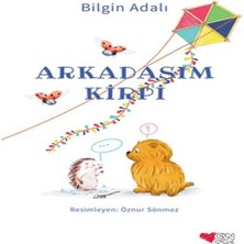 SHC4200 Arkadaşım Kirpi