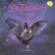 SHC4200 Ilk Okuma - Salar