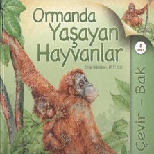 SHC4200 Çevir Bak Ormanda Yaşayan Hayvanlar