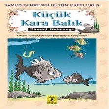 SHC4200 Küçük Kara Balık Samed Behrengi Bütün Eserleri 5