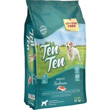 Hepta Collection Somonlu Yetişkin Köpek Maması 10+2 kg