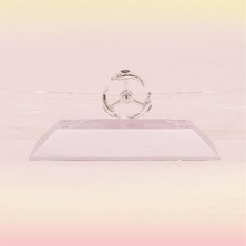 Pazarcan Buffer® Dekoratif Masa Üstü Obje Manyetik Kinetik Orbital Dönen Yunuslar