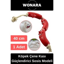 Wonara Dayanıklı Eğitim Oyuncağı Köpek Çene Kası Güçlendirici Evcil Hayvan Sosis Modeli 40CM