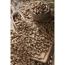 Antep Fıstığı (Anaçıtlak)  500 gr