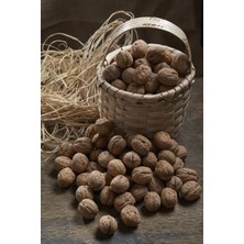 Ceviz Kabuklu 250 gr