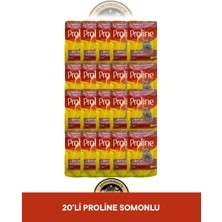Proline Pouch Pate Somonlu Yaş Kedi Maması Seti 20X85 gr