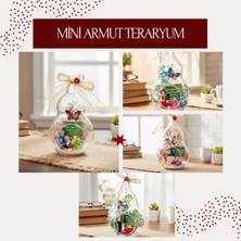 Gülcenin Dükkanı Mini Armut Teraryum - Öğretmenler Günü Hediyesi