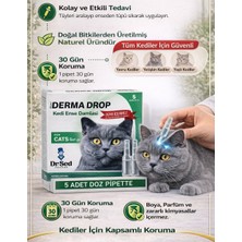 Dr. Sed Maxi Derma Kedi Ense Damlasi 12 Kutu
