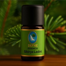 Nuka Defne Esencia Sibirya Ladini Geleneksel %100 Saf Uçucu Yağ