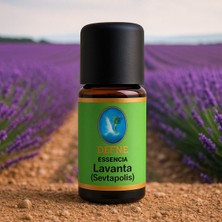Nuka Defne Esencia Lavanta (Sevtoplois) Geleneksel %100 Saf Uçucu Yağ