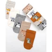 Karamila 5'li Pamuklu Bebek Patik Çorap Kutulu