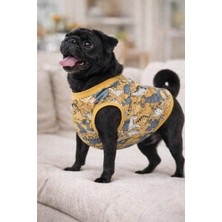 Miniş Gri-Sarı Dinazor Küçük Irk Köpek Penye T-Shirt