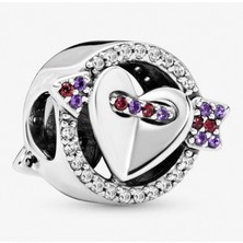 Nur Silver Parlayan Ok ve Kalp Gümüş Charm - NUR-CM00400