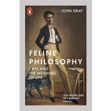 Hepta Collection Philosophy: Cats And Meaning Of Life