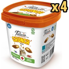 Felicia Vitality Crunch Biftekli Kedi Ödül Maması 100 gr x 4 Adet