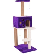 Hepta Collection Kedi Tırmalama, Nemrut, Mor