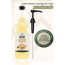 Gold Gull Ginger Bread Aromalı Kahve & Meyve Şurubu 700 ml