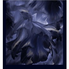 Şehri Şal Bambu Kraş Şal 6186 D10