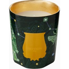 Trudon Fir Classic Odunsu Kokulu Mum