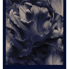 Şehri Şal Bambu Kraş Şal 6186 D9