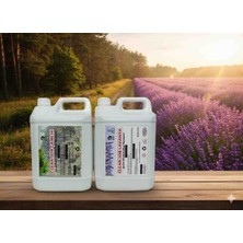 Clean Job Lavanta ve Çam Orman 2 Li Set