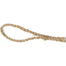 Karokstore Sheel Dekoratif Obje