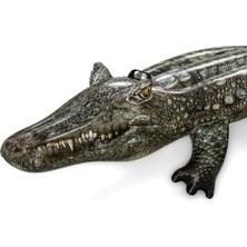 Karokstore Piscina Y Playa Baby Boy Havuz