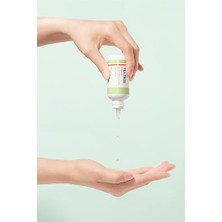 Karokstore A'pıeu Yağlanma ve Akneye Eğilimli Ciltler Için Nemlendirici Esans A'pıeu The Pure Tea Tree Essence