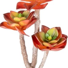 Karokstore Yapay Kaktüs Sukulent Kırmızı 35 cm