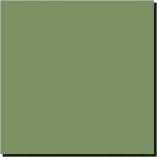 Karokstore Models 30ML (1oz) Raf Iç Yeşil Modeller MMP-079