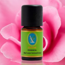 Nuka Defne Esencia Gülsuyu Konsantresi Geleneksel  Saf Uçucu Yağ 5ml