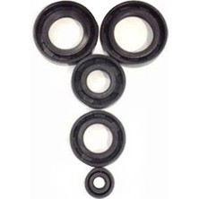 Cg Krank / Karter Keçe Seti / Takımı - 125 /150 / 200 cc - 5 Li