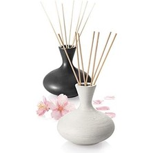 Karokstore Fancy 906598 Esans Difüzörü Için Çubuk, Cam, Ahşap, 25 Cm, 14 Adet