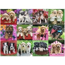 Karokstore 500 Parça Puzzle Köpek Yavruları
