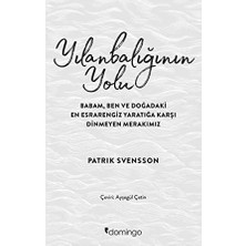 Karokstore Yılanbalığının Yolu