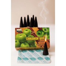 Karokstore Doğal Aromaterapi Konik Tütsü – Meditasyon ve Yoga Için Bitkisel Koku | Negatif Enerji Arındırıcı, El Yapımı Organik Kömürsüz Tütsü Seti (3 Kutu 30 Adet)