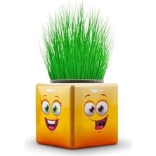 Karokstore Bambamtoys 3 Adet Karışık 3 Tarafı Emojili Küp Çim Okul ve Okul Öncesi Hediyelik Çim Adam BAMBMNM418