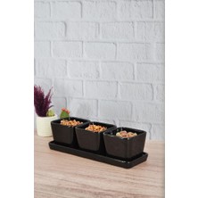 Saban 3'lü Çerezlik Tepsili Kase Siyah