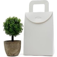 Karokstore 10X15 Beyaz Renk Çanta Model Hediye Kutusu (20 Adet)