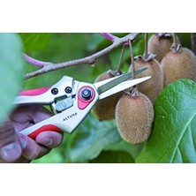 Karokstore J440 Makas Baumschere Bir Düz Hand 21 Cm. Ref. J