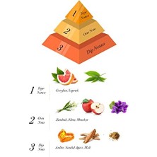 Karokstore Alya Bomb Bambu Çubuklu Oda Kokusu 100 ml