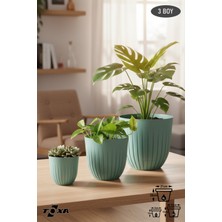 ToXA 3 Boy Tabaklı Drenaj Delikli Çizgi Saksı Seti Drenajlı Plastik Çiçek Saksısı Set