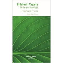 Karokstore Bitkilerin Yaşamı - Bir Karışım Metafiziği