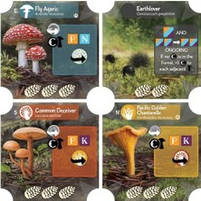 Karokstore Alderac Entertainment Group Undergrove