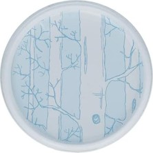 Karokstore Bomb Cosmetics Dr Foot Refreshing Ayak Scrub (375 G)