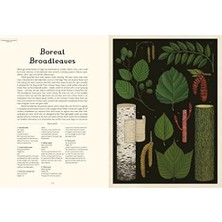 Karokstore Arboretum