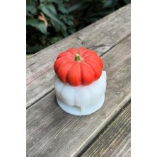 Storemax Concept Munchkin Orta Boy Mum Kalıbı (Silikon)