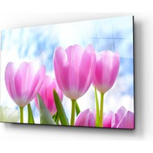 idealizbiz Doğa Lale Çiçekler Cam Tablo 4mm Dayanıklı Temperli Cam