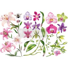 Storemax With Dekor Transfer, Gün Batımı Tropikleri, 15.2X30.5 Cm, 655350653507