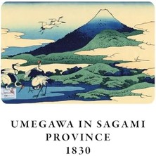 Storemax Mount Series Iv - A5, Hokusai 4'lü Defter Seti Iv, Çizgisiz, Toplam 256 Sayfa, Her Biri 64 Sayfa, Tel Dikiş, Esnek Kapak, Oval Kenar, Tuval Doku, 60 Gram, Sarı Krem Renk